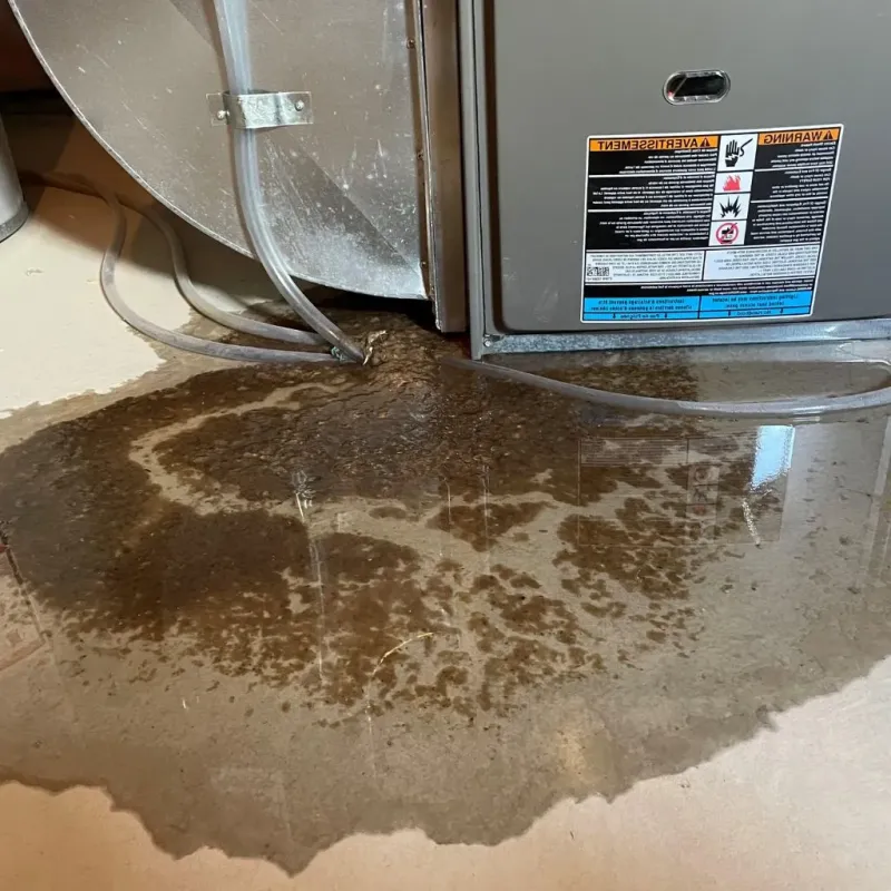 Pipe Burst and Leak Restoration in Kinderhook, NY